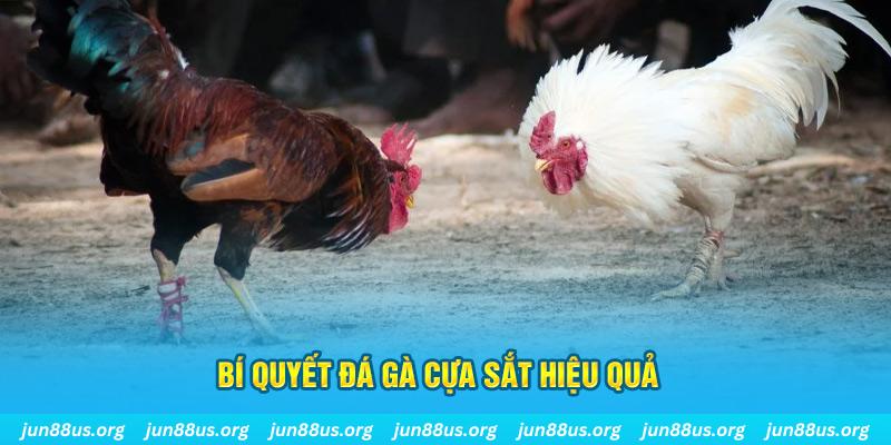789 bet xổ số miền bắc thứ ba hàng tuần