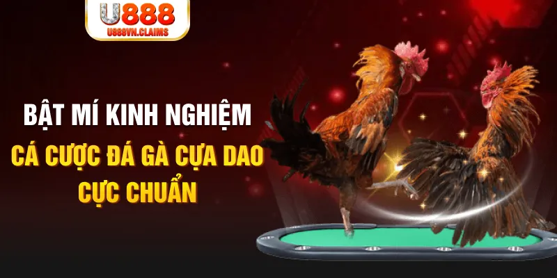 789 bet casino hồ tràm có cho người việt vào không