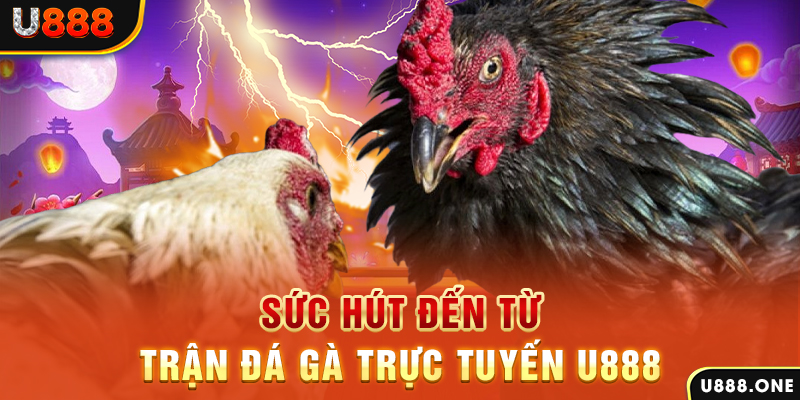 789 bet đăng nhập poker 2024