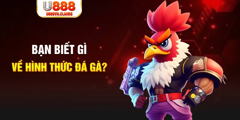 789 bet đăng nhập liêng tặng tiền