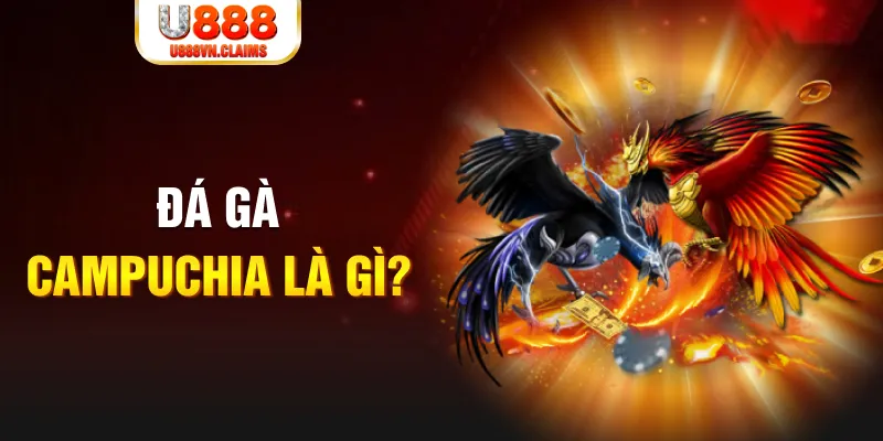 789 bet what is the best online casino for real money