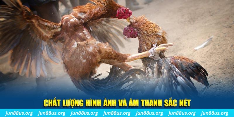 789 bet gà chọi tiêu phong
