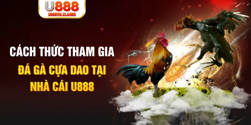 789 bet đá gà 88.com