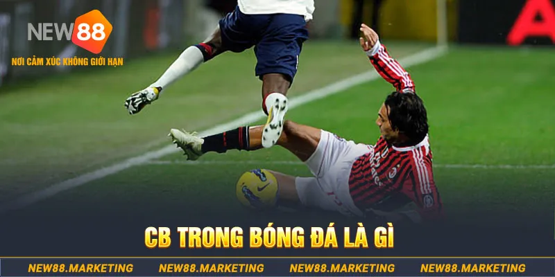 789 bet DG Trực Tuyến