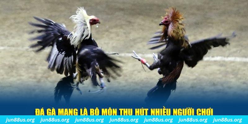 789 bet đăng nhập sòng bạc số 1