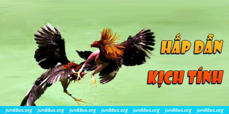 789 bet xổ số miền nam thứ sáu