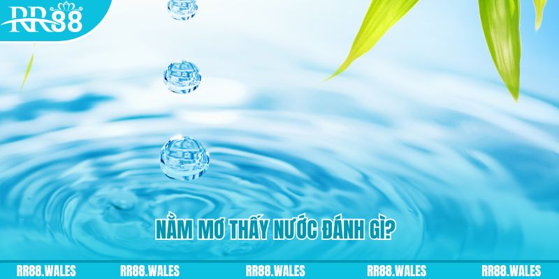 789 bet xổ số trực tiếp miền bắc