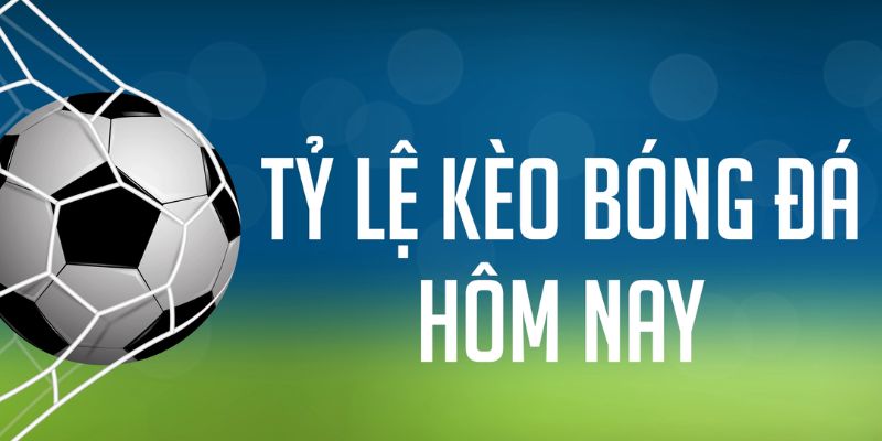 789 bet đăng nhập phỏm