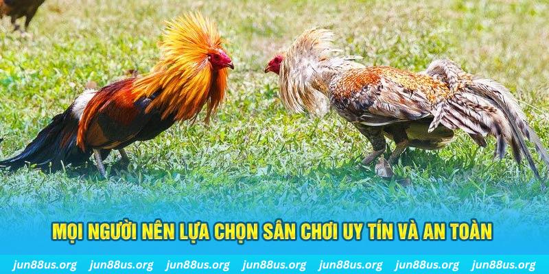 789 bet đăng nhập poker 2025