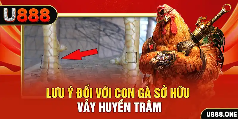 789 bet tải game đánh bài tiến lên miền nam về máy tính