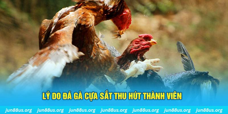 789 bet nổ hũ ăn bao nhiêu