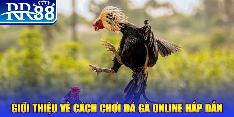 789 bet EvoPlay Điện Tử