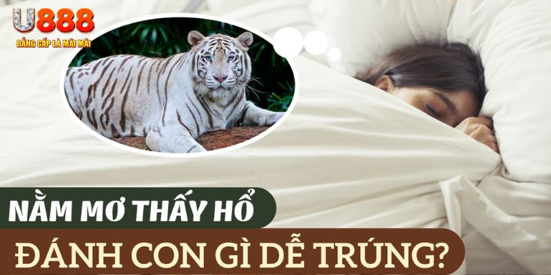 789 bet nohu .mx nổ hủ là gì