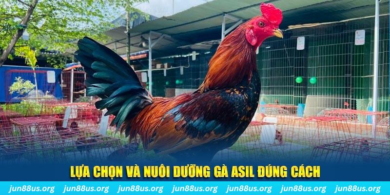 789 bet nổ hũ thần tài là gì