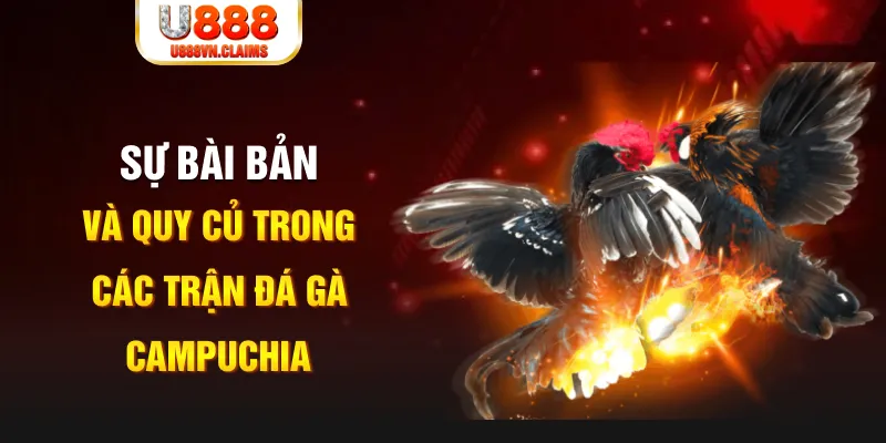 789 bet game xếp bài trên máy tính
