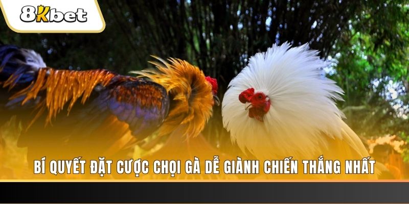 789 bet nổ hũ chơi như thế nào