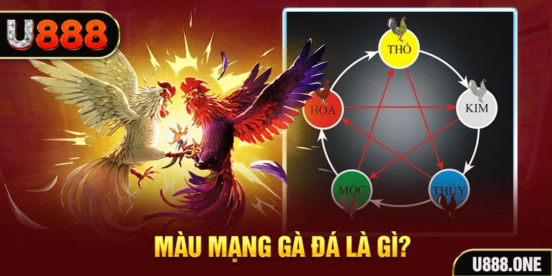 789 bet V8 Game Bài 3d