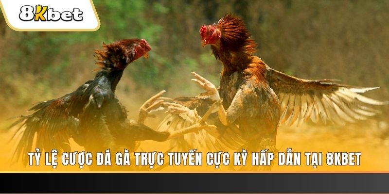 789 bet xổ số miền bắc chủ nhật