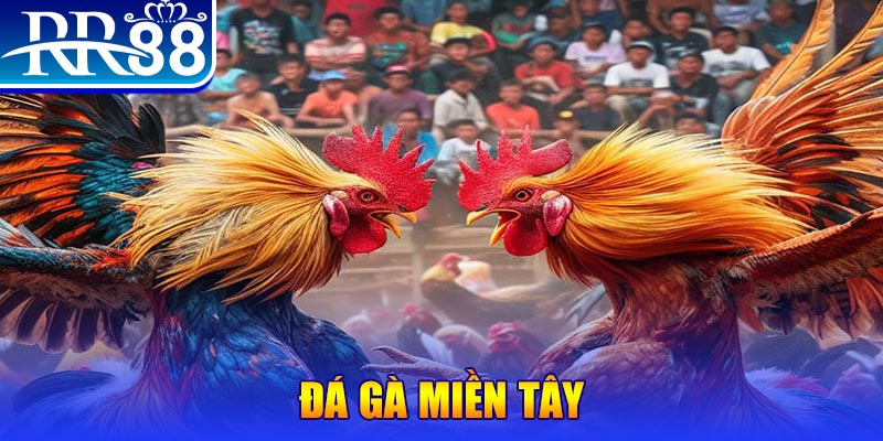 789 bet đăng nhập liêng đổi thưởng