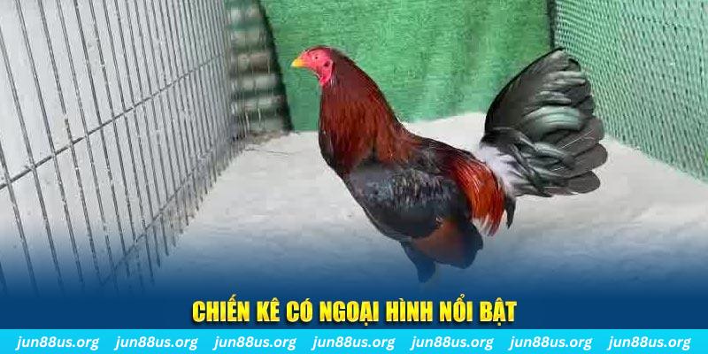 789 bet qq88 bắn cá
