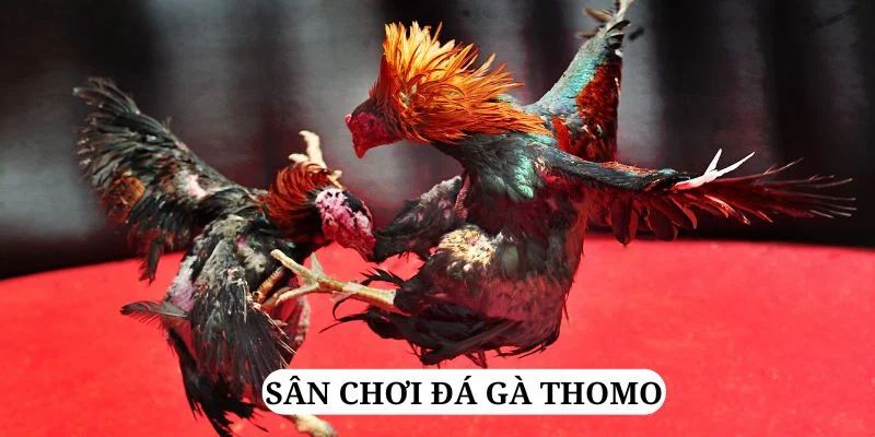 789 bet quay nổ hũ là gì