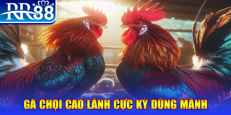 789 bet đăng nhập poker live